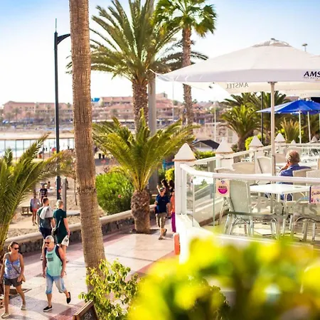 Few Steps From The In Cristianos * Arona (Tenerife)